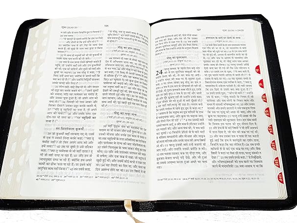 Holy Bible Hindi Index/Zip Missionary Regular edition Vinyl (O.V. 2021) BSI Contains Old and New Testament Bonded Leather