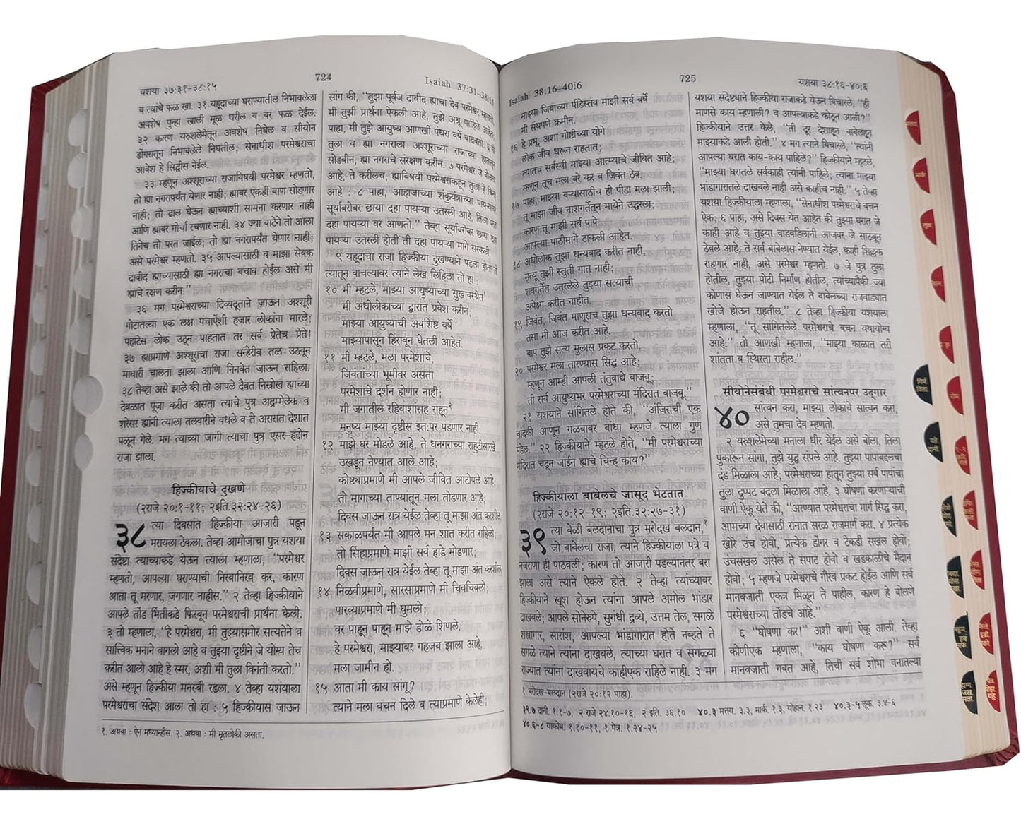Holy Bible Marathi Regular Vinyl with Zip/Index Burgundy Containing Old and New Testament Leather Bound