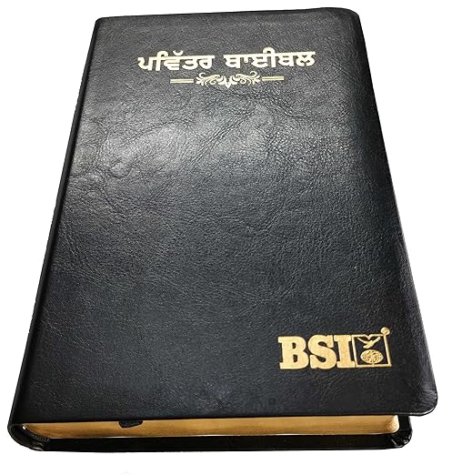 Holy Bible Punjabi- (O.V.) New Font '23 Regular PU Black/Thumb Index Contains Old and New Testament Leather Bound