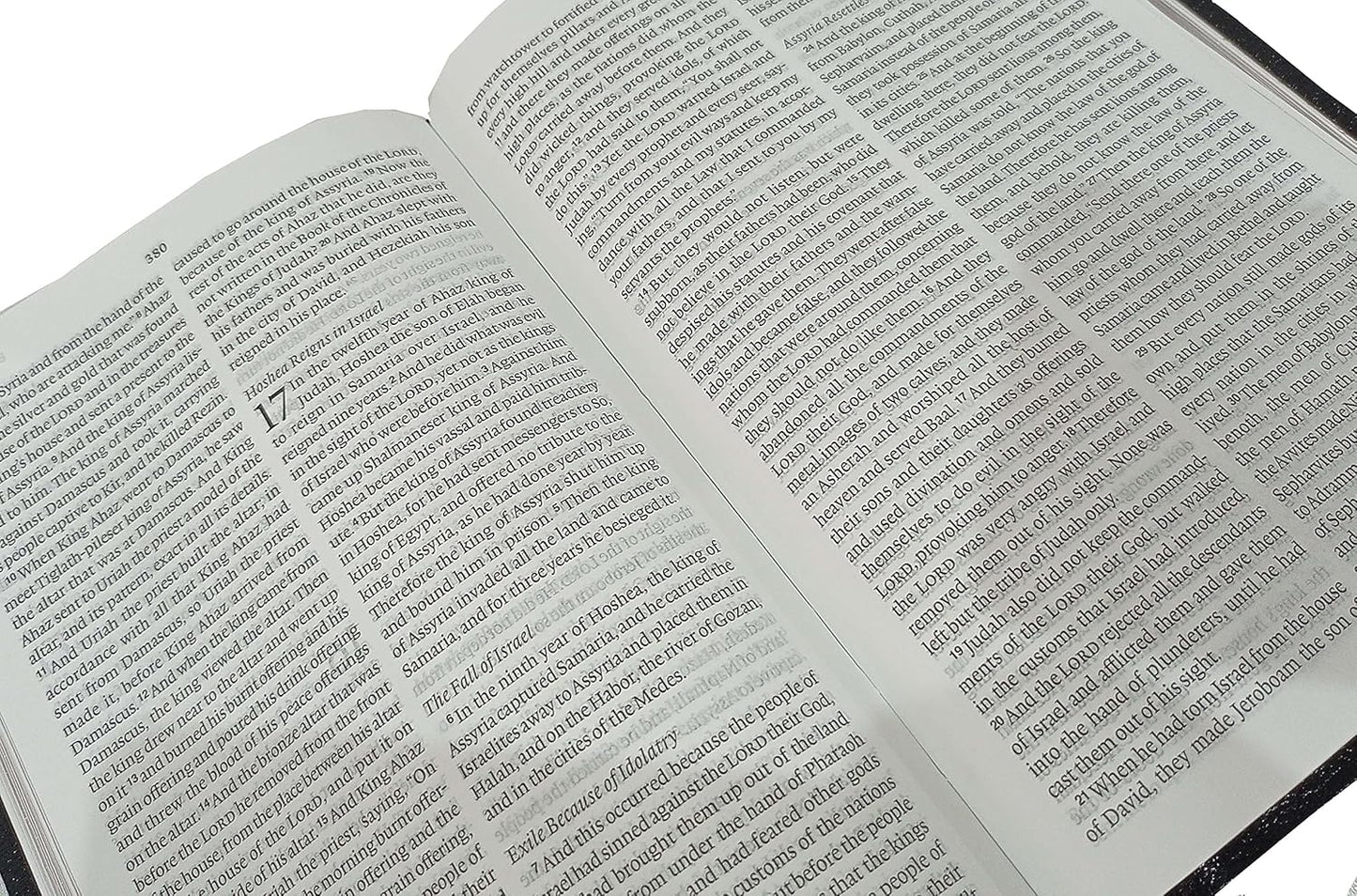ESV Large Print Bible (English Standard Version) Contains Both Testament Concordance-Map Leather Leather Bound