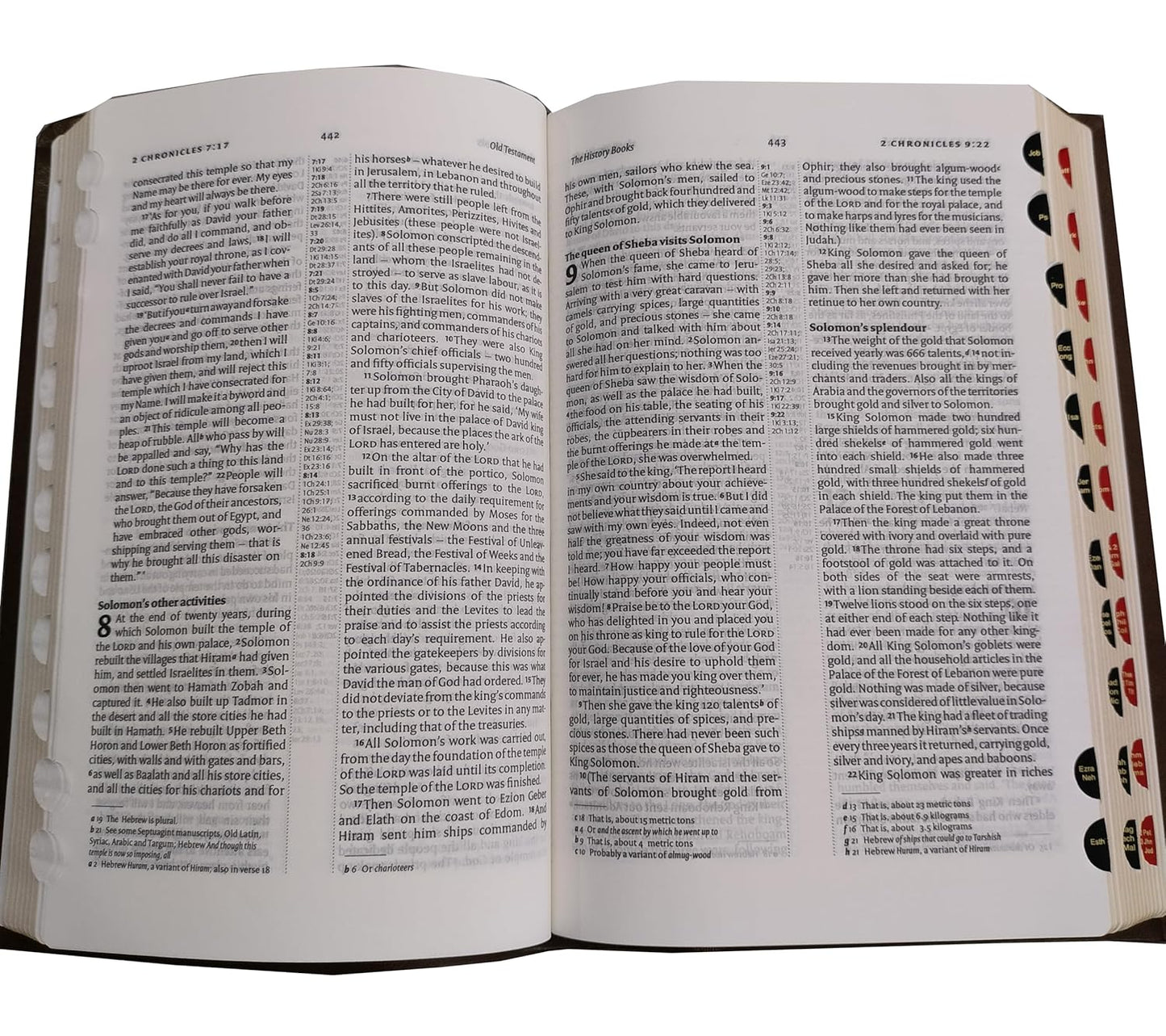 Holy Bible (NIV) New International Version (Red Letter) Cross-Reference with Concordance Brown BSI Leather Bound