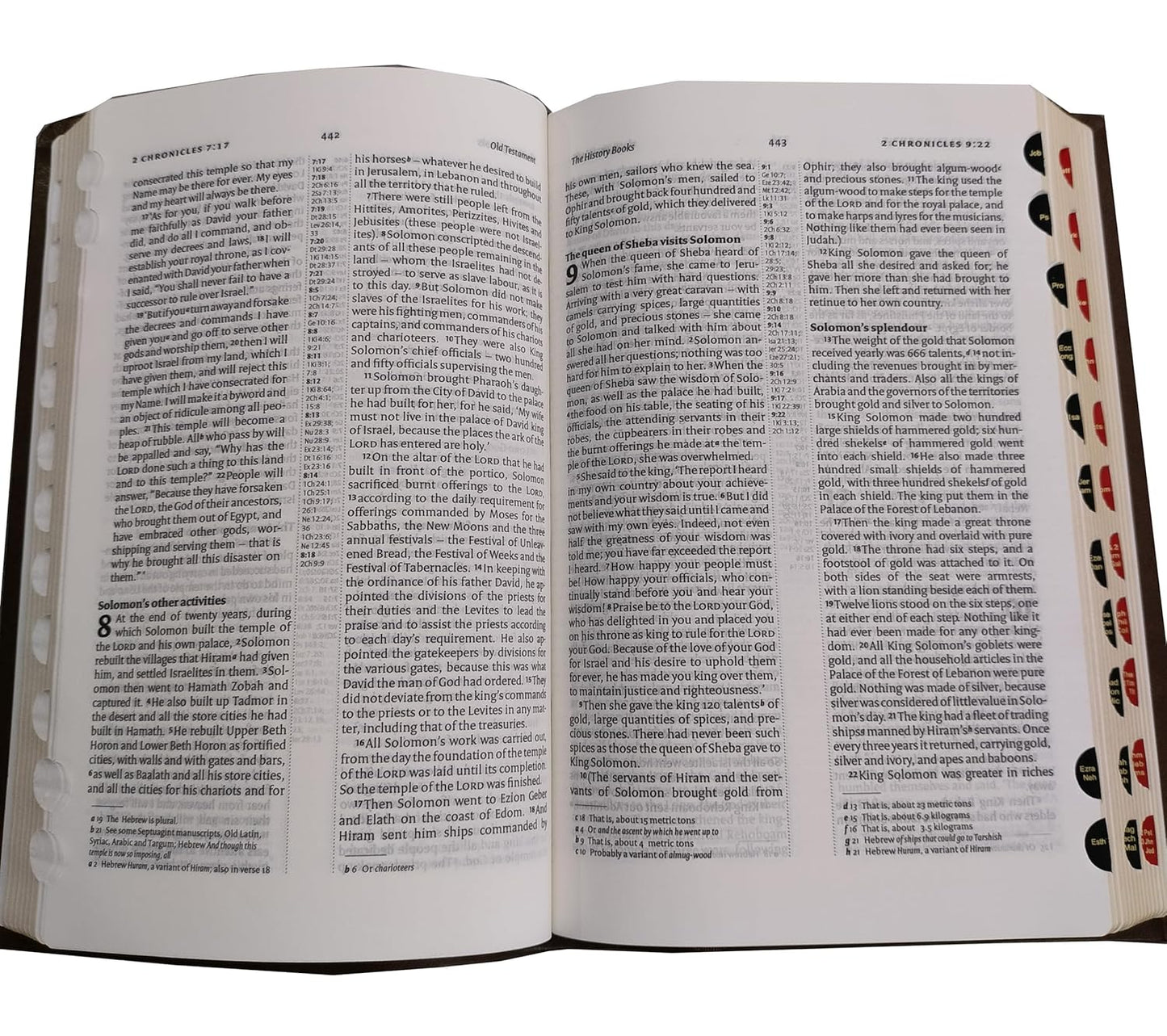 NIV Regular BL Black Bible - Amity (New International Version) Red Letter Cross-Reference with Concordance BSI Leather Bound
