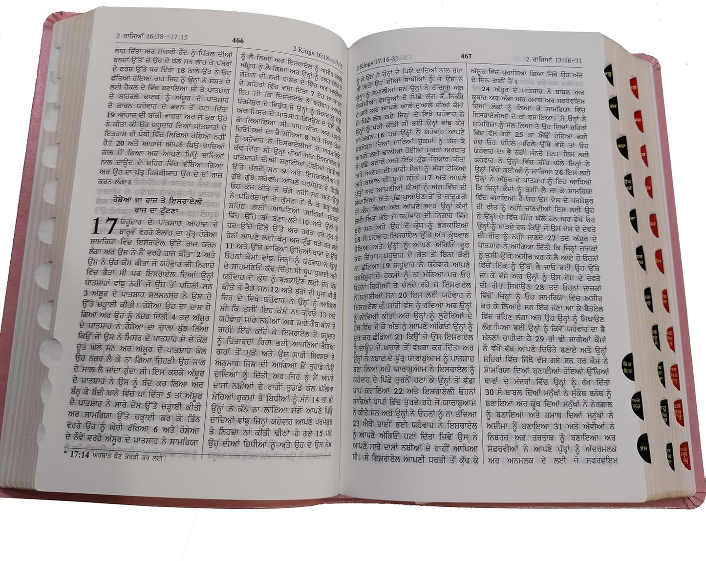 Punjabi Bible Regular Pu Yapp Pink Index Containing Old and New Testamnet BSI Bonded Leather