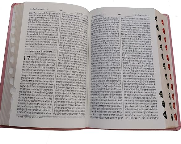 Punjabi Bible Regular Black Vinyl With Zip/Index Containing Old and New Testamnet BSI