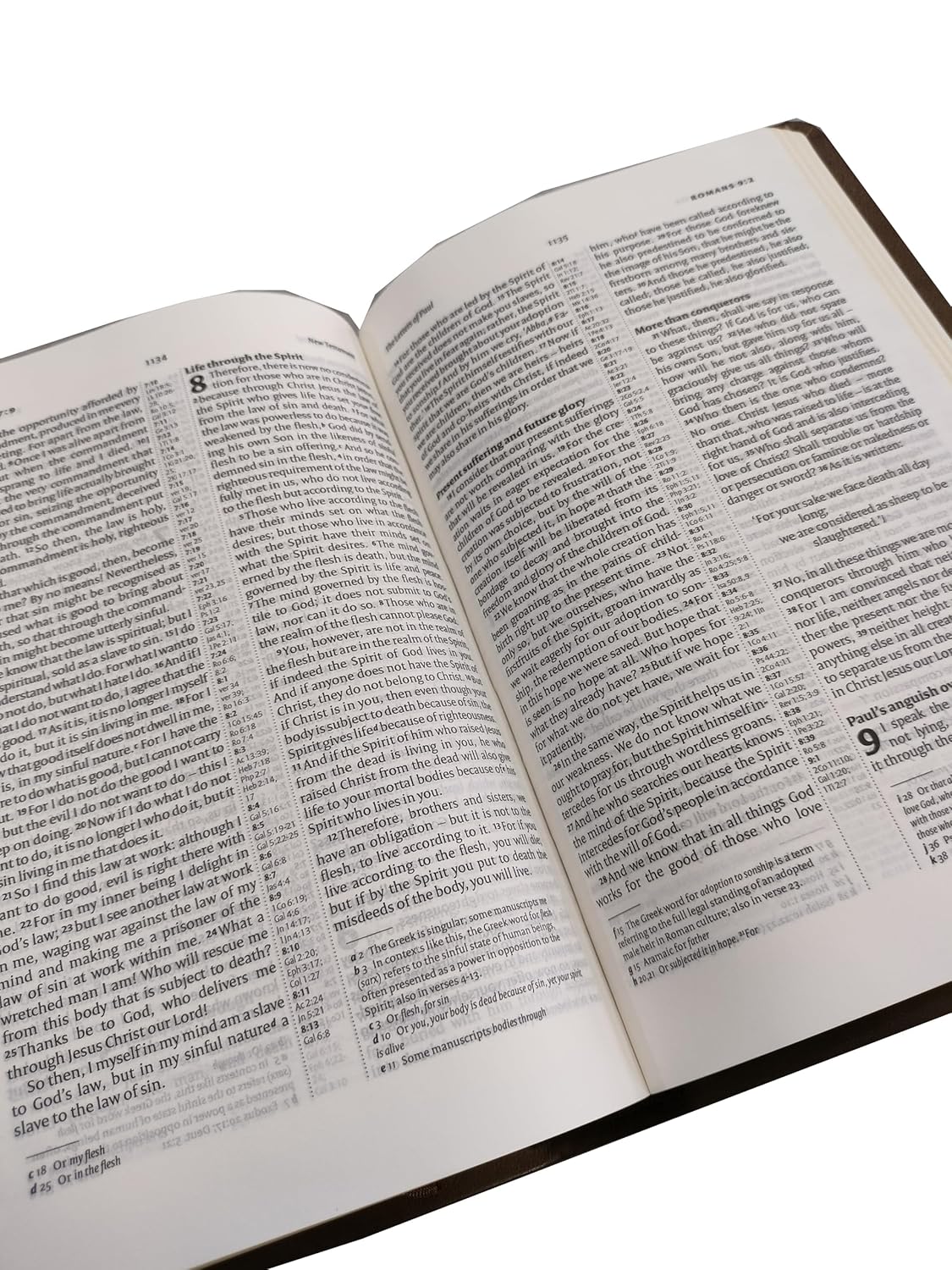 Bible Dy PU L Pink (Amity) New International Version (NIV) Red Letter Cross-Reference with Concordance BSI Leather Bound