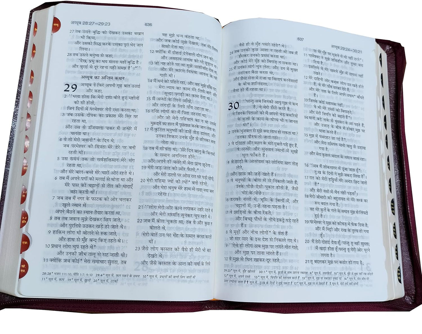 Hindi Bible O.V. 55ZTI (R) BL ZIP (KBS) Brown Korean Print Golden Edge Containing Old and New Testament BSI Bonded Leather