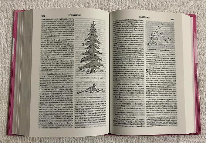 GNB (Good News Bible) Today's English Version Hb (Pink) Compact 2024 Illustrated Contains Old and Testament BSI Hardcover