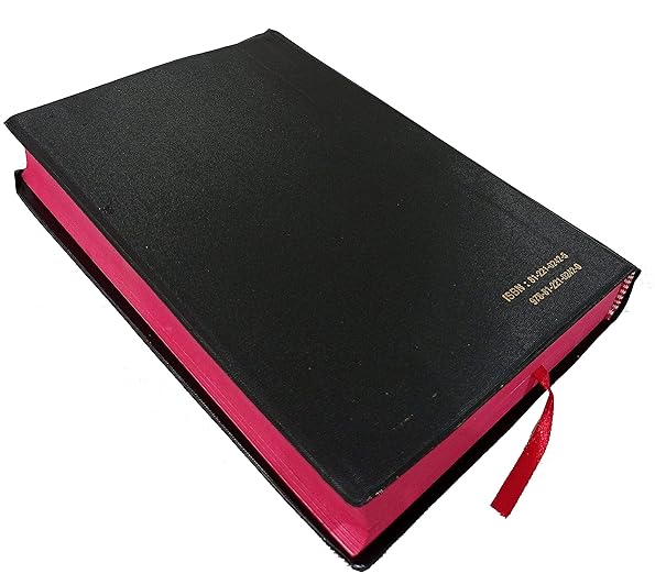 Holy Bible Punjabi (O.V.) Red Edge Contains Old And New Testament BSI Plastic Comb
