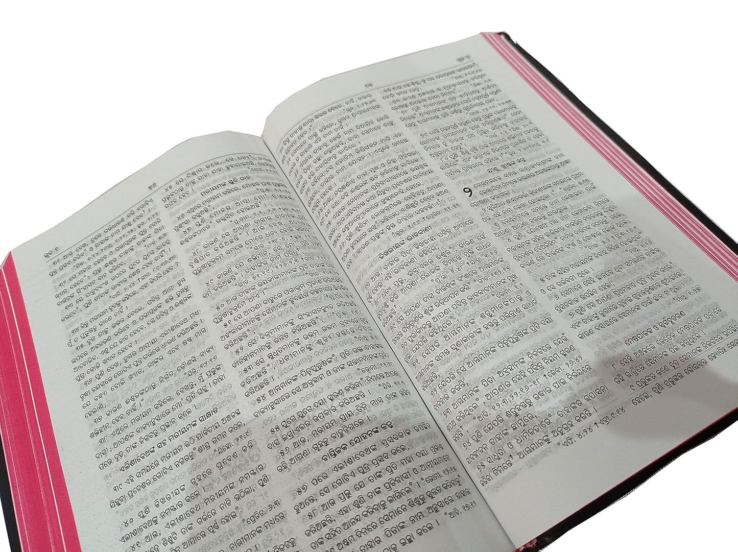 ODIA Holy Bible Reference (Re-Edited) BSI Regular version Containing Old and New Testament Plastic Comb