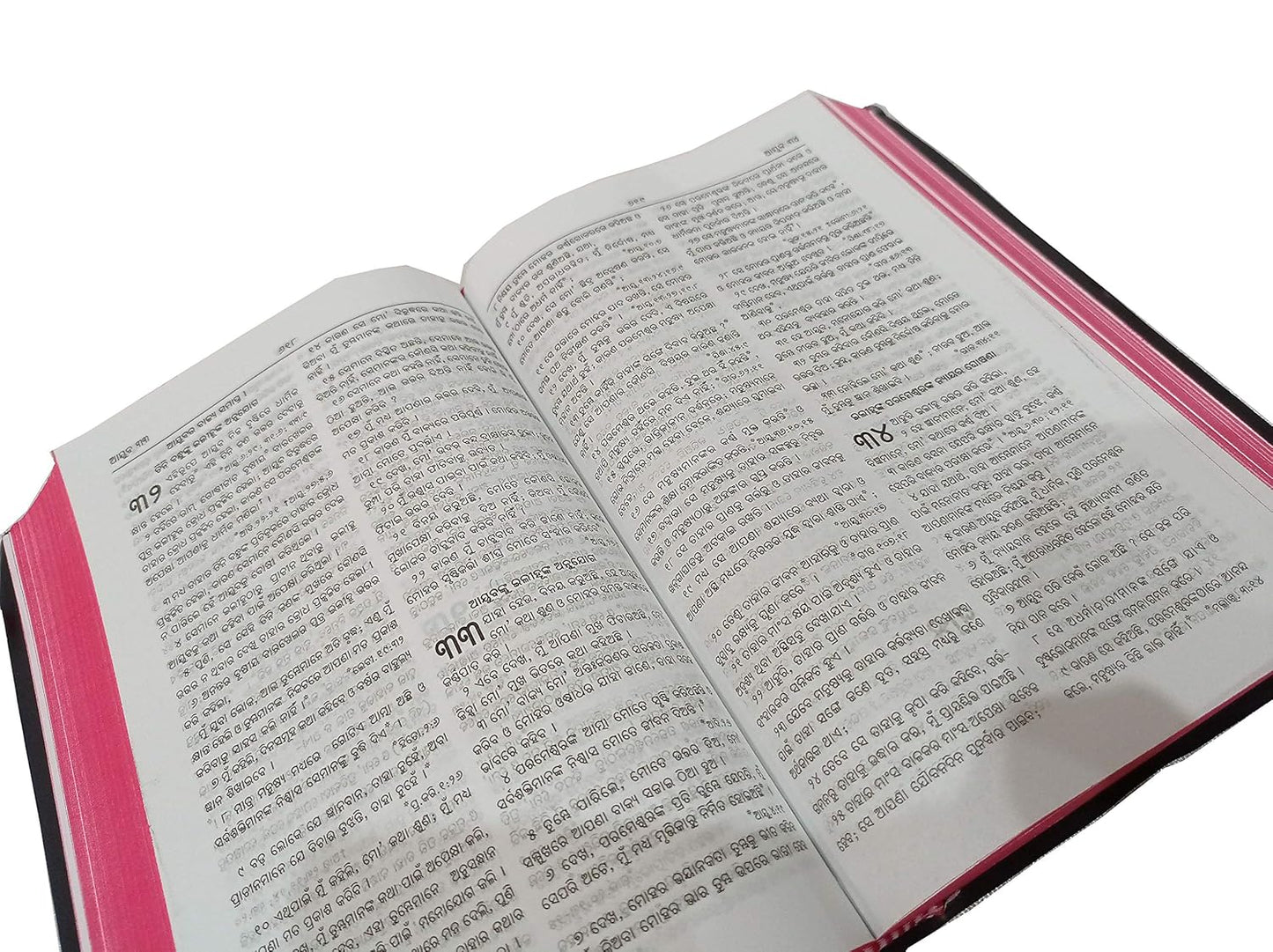 ODIA Holy Bible Reference (Re-Edited) BSI Regular version Containing Old and New Testament Plastic Comb