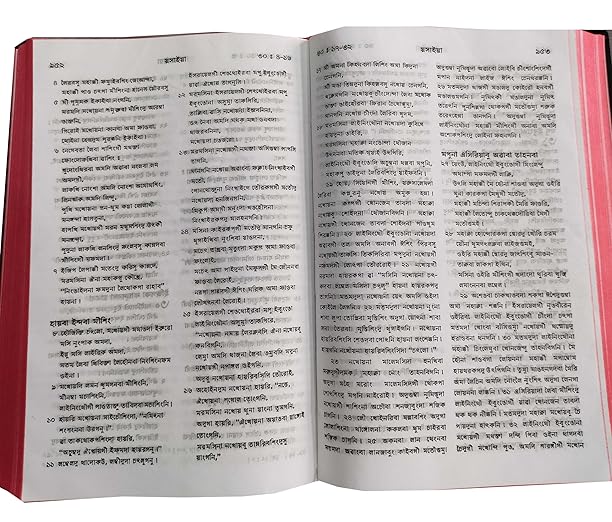 Manipuri (O.V.) Reference Bible Contains old and New Testament BSI Plastic Comb