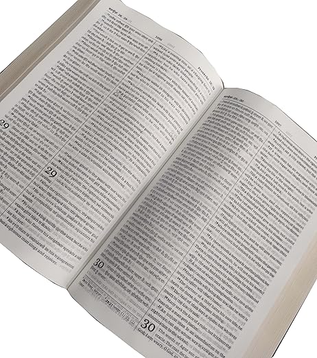 Punjabi Diglot Bible (O.V.) - English (ESV) Royal PU (Maroon) Contains Old and New Testament BSI Leather Bound