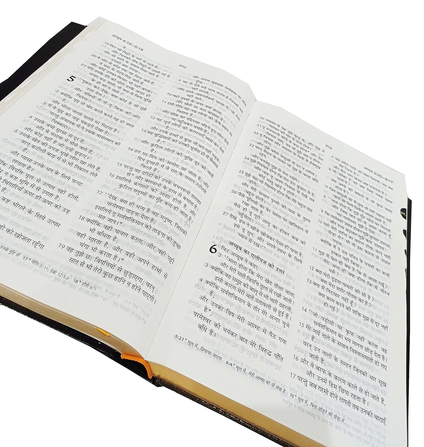 Hindi Bible Royal Plus (Red Letter Edition) Big Letter HB TI BSI Contains Old and New Testament