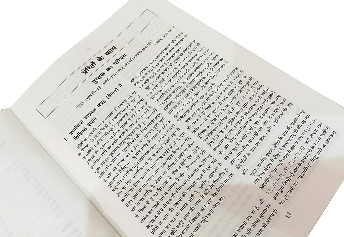 Believers Bible Commentary In Hindi (Vishwasi Ki Bible Teeka)