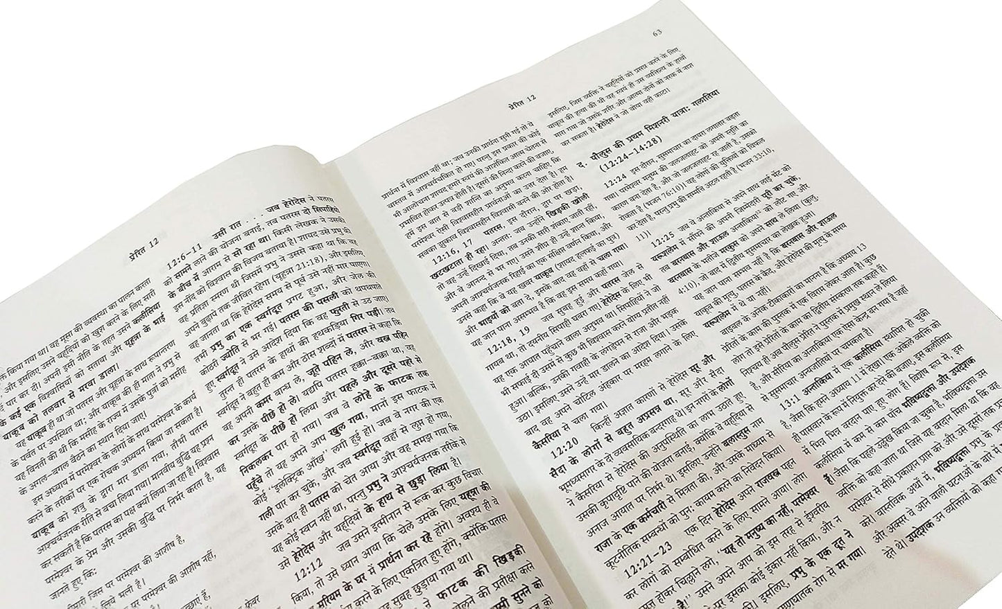 Believers Bible Commentary In Hindi (Vishwasi Ki Bible Teeka)