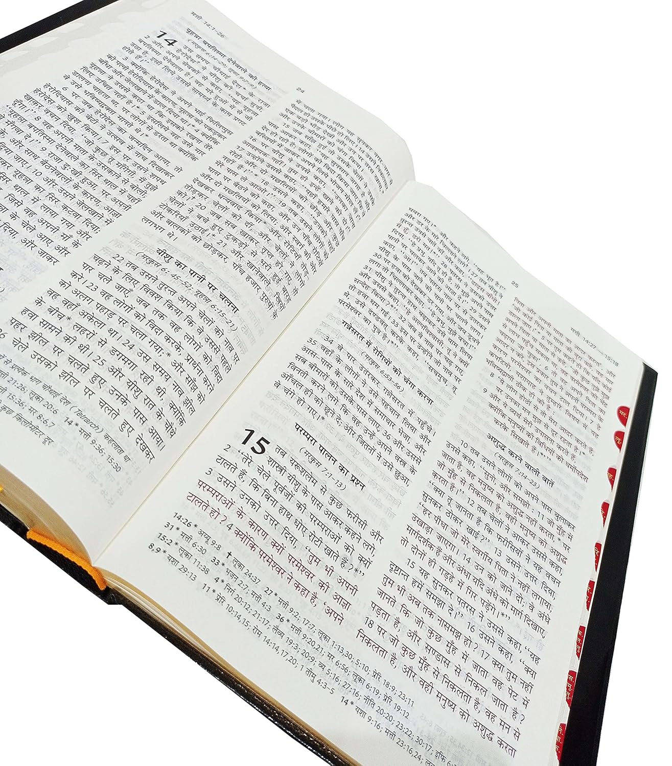 Hindi Bible Royal Plus (Red Letter Edition) Big Letter HB TI BSI Contains Old and New Testament