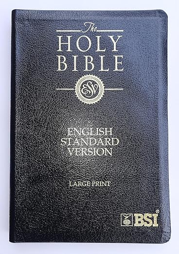 ESV Bible Large Print Bounded Leather Gold Edge Leather Bound
