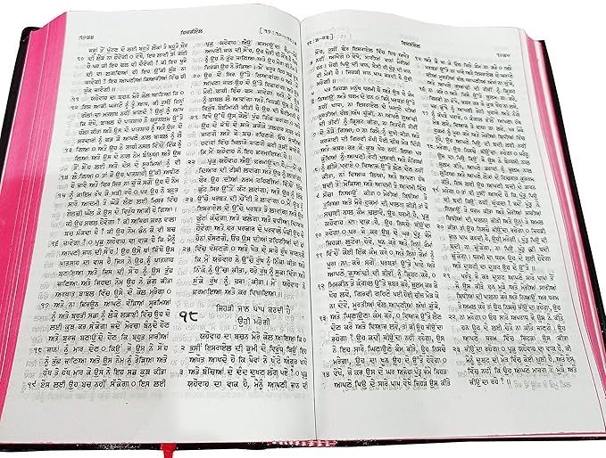 Holy Bible Punjabi (O.V.) Red Edge Contains Old And New Testament BSI Plastic Comb