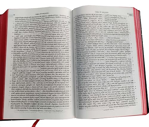 Telugu (O.V.) 2021 Printed Bible Contains Old and New Testament BSI Plastic Comb