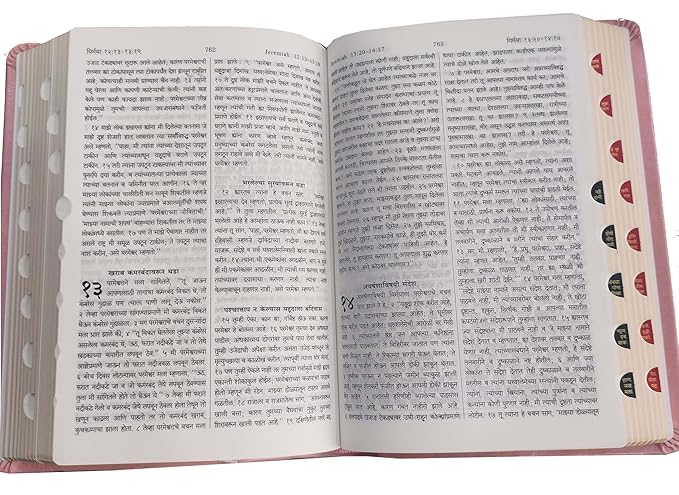 Holy Bible Marathi ZIP Burgundy Vinyl Compact Edition Conatining Old and new Testament Leather Bound
