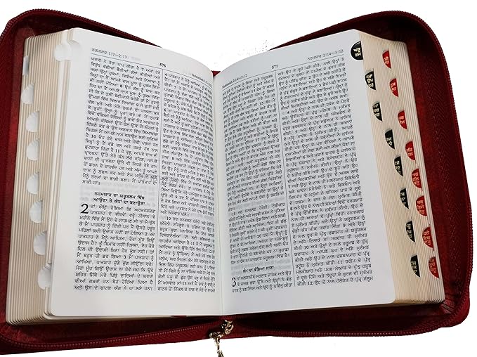 Punjabi Pocket Bible Maroon Vinyl with Zip/Index Golden Edege O.V. new font 2023 BS