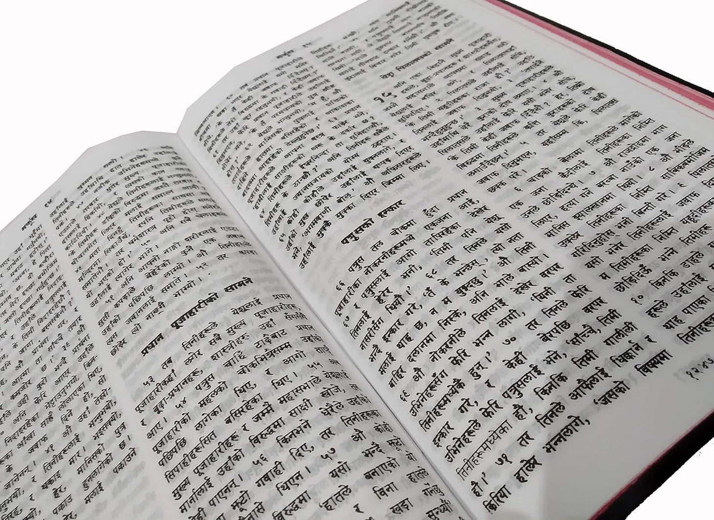 Nepali -R.V. Holy Bible Containing Old and New Testament BSI version Flexibound