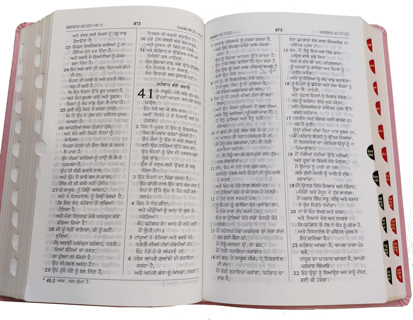 Punjabi Bible Regular Pu Yapp Pink Index Containing Old and New Testamnet BSI Bonded Leather