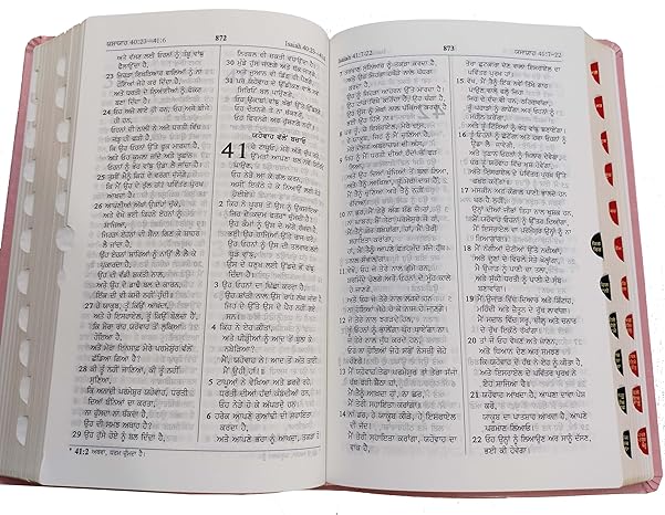 Punjabi Bible Regular Black Vinyl With Zip/Index Containing Old and New Testamnet BSI