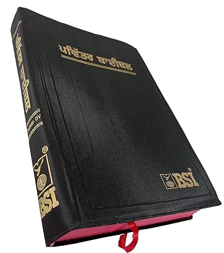 Holy Bible Punjabi (O.V.) Red Edge Contains Old And New Testament BSI Plastic Comb