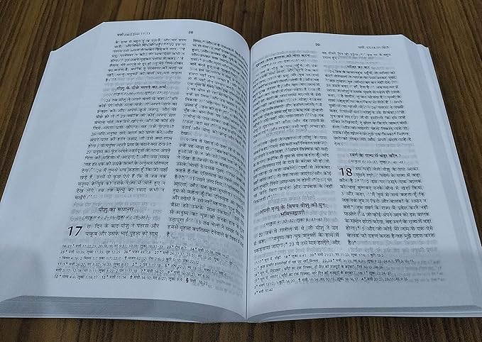 The Holy Bible: Hindi- O.V Re Edited Compact size (updated 2019) containing Old and New testament Leather Bound