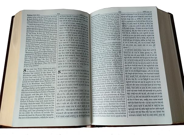 English (ESV) - Hindi (O.V.) Diglot Bible Regular (Navy Blue) PU (NAP) Yapp Containing Old and New Testament (Updated Size) BSI