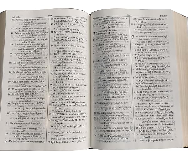 Telugu (O.V.) - English (ESV) Diglot Royal L Pink PU Yapp Contains Old and New Testament BSI