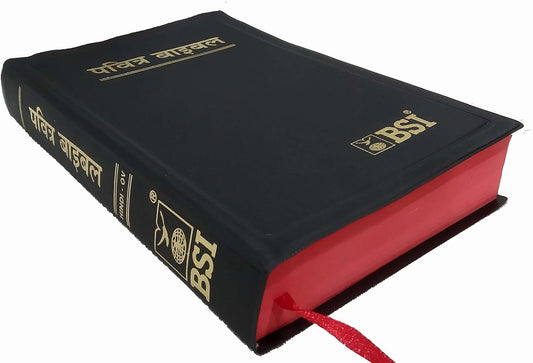 The Holy Bible: Hindi-O.V. Re Edited: Regular size Plastic Comb
