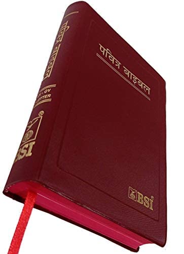 Holy Bible Hindi (Red Letter Edition O.V.) Re-edited Burgundy Red edge Contains Old and New Testament By Hindi Edition