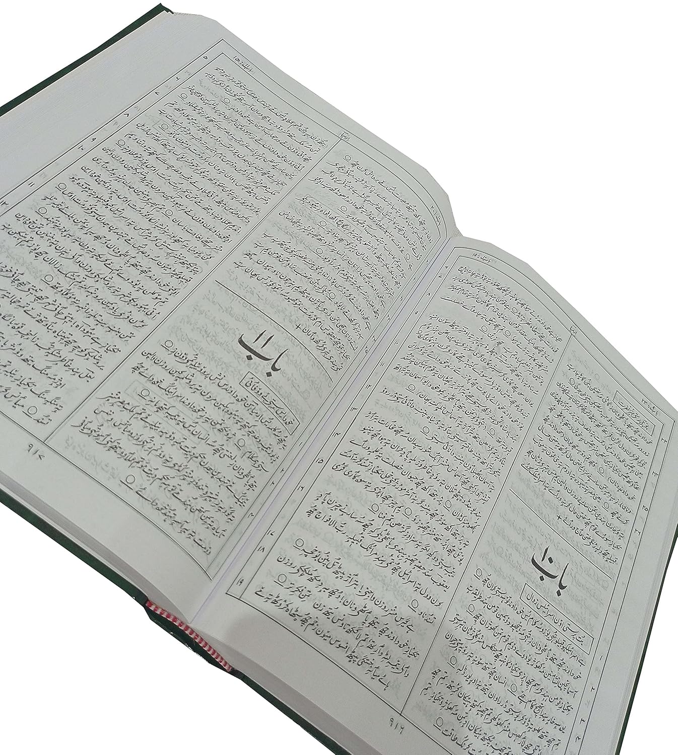 Holy Bible Kashmiri Containing Old and New Testament BSI