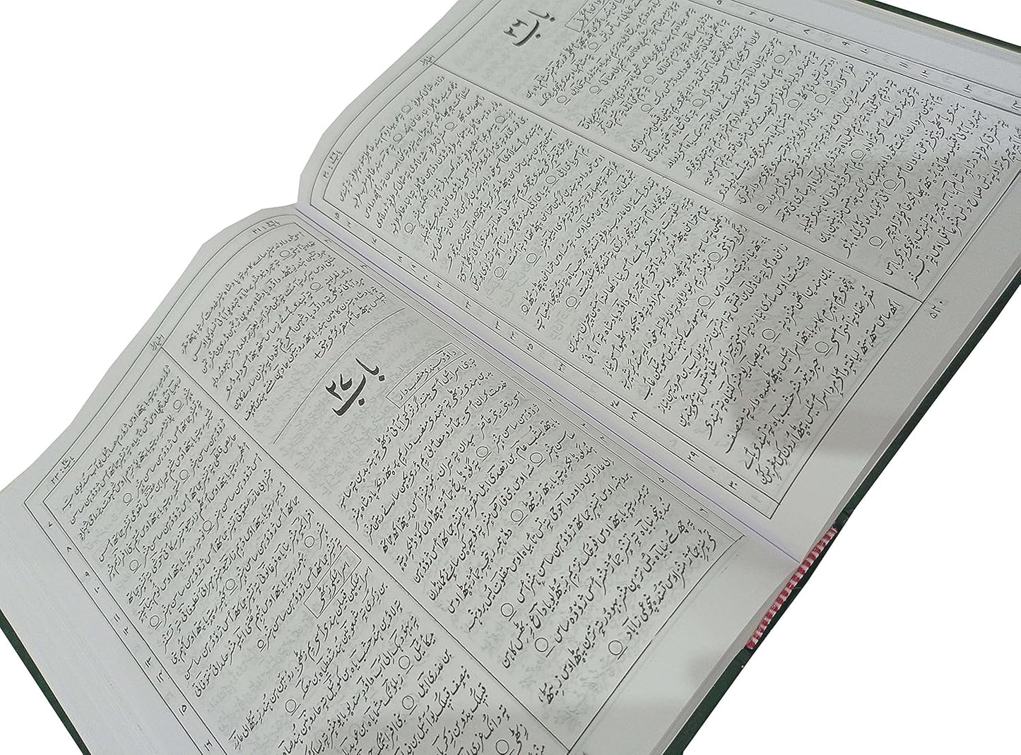 Holy Bible Kashmiri Containing Old and New Testament BSI